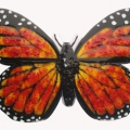 monarch vlinder